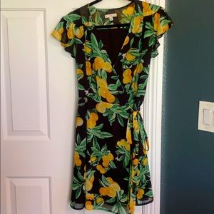 Allison Wrap Dress- Eva Mendes Collection